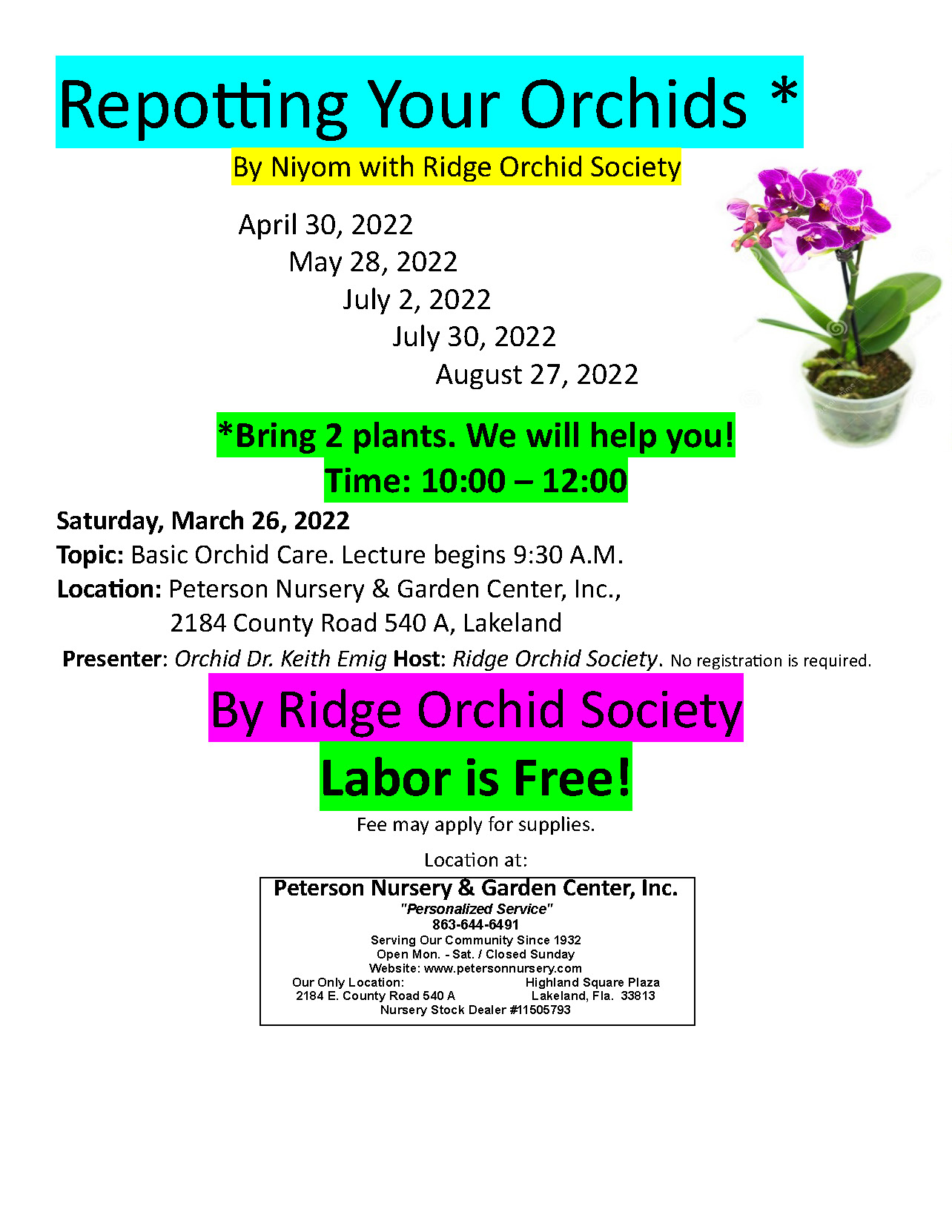 Orchid Repotting Schedule